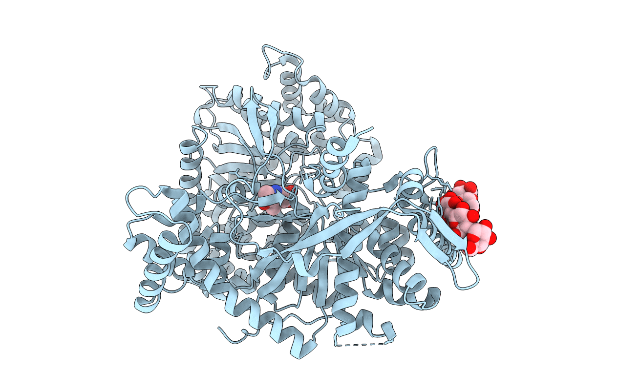1P29 image