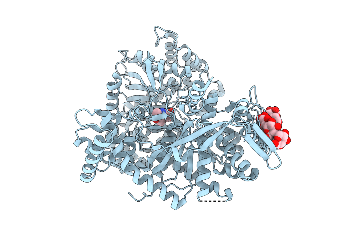 1P2B image