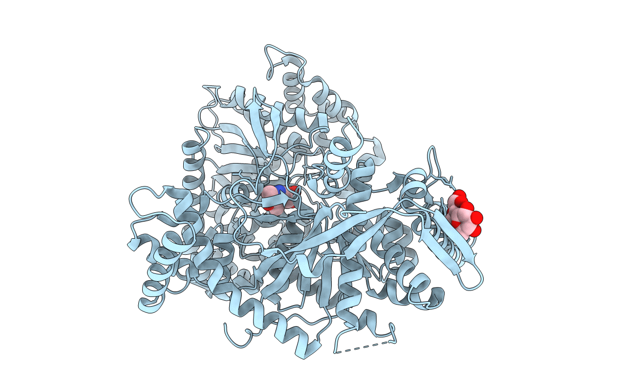 1P2D image