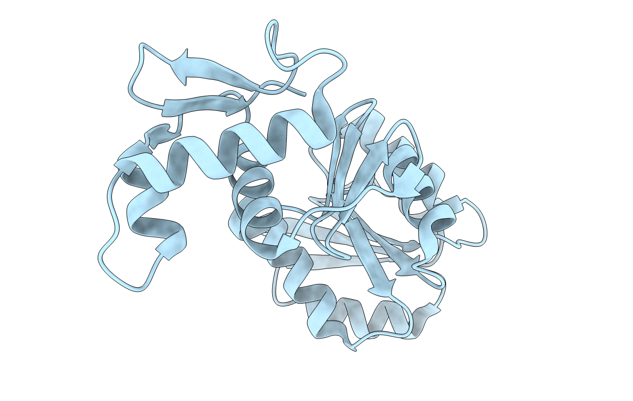 1P2F image