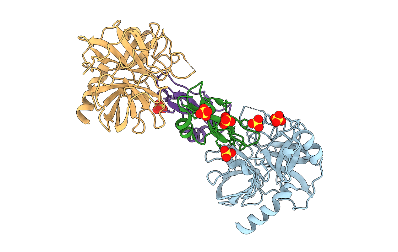 1P2M image