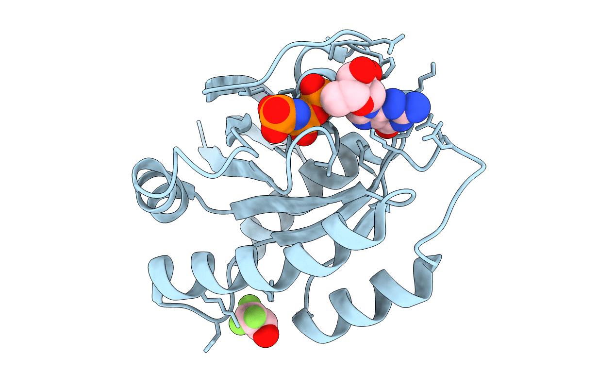 1P2S image