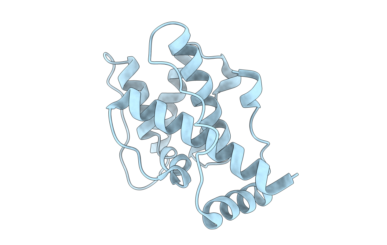 1P2X image