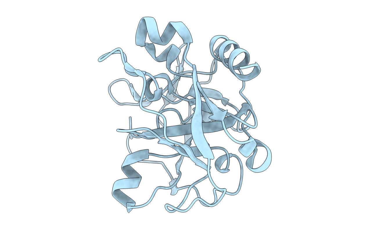 1P3C image