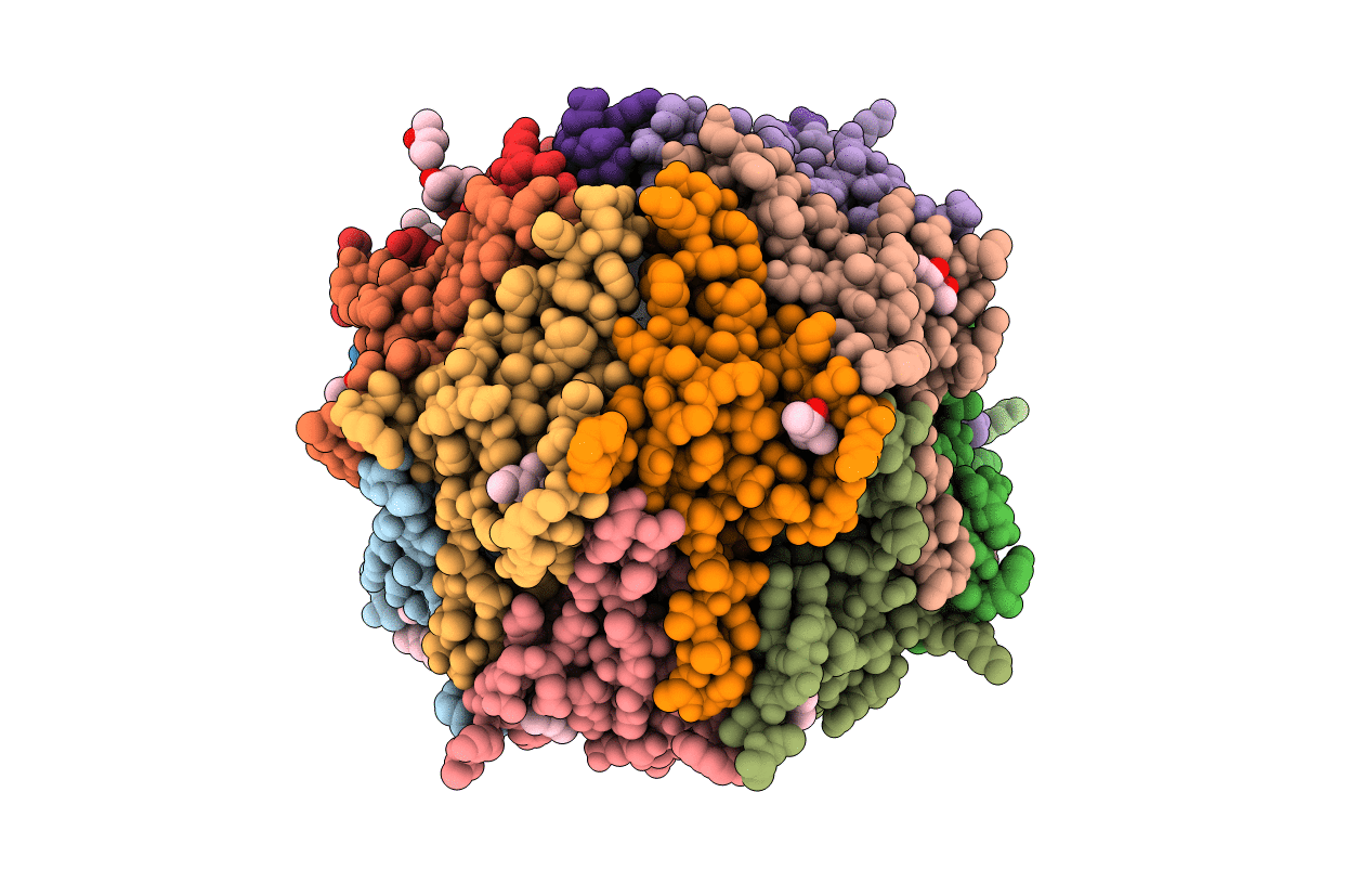 1P3H image