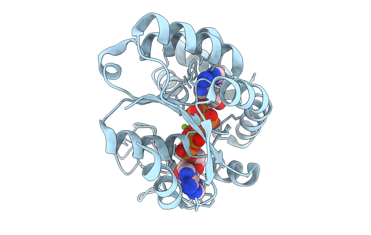 1P3J image