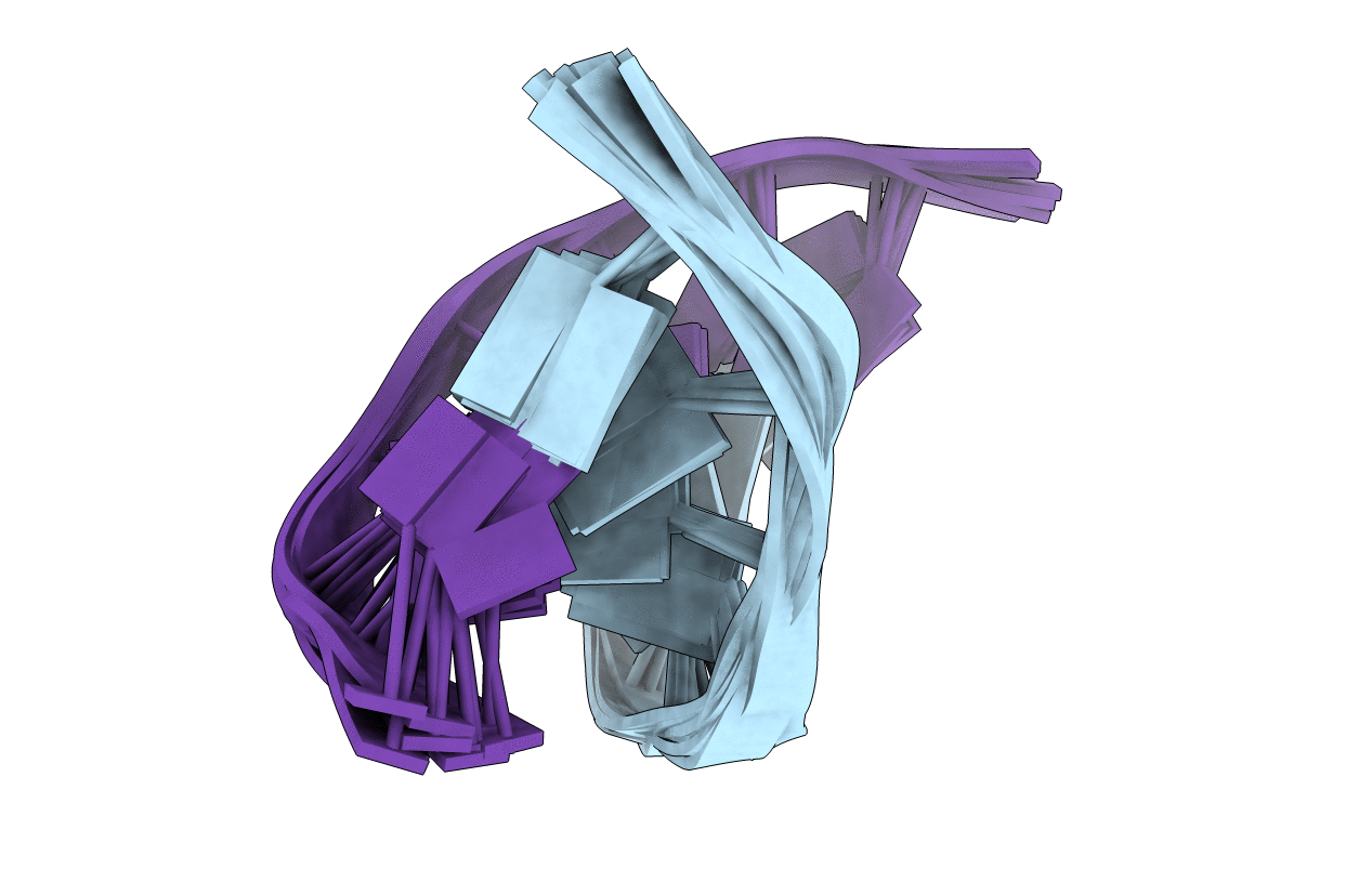 1P3X image