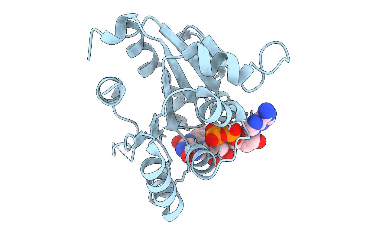 1P3Y image