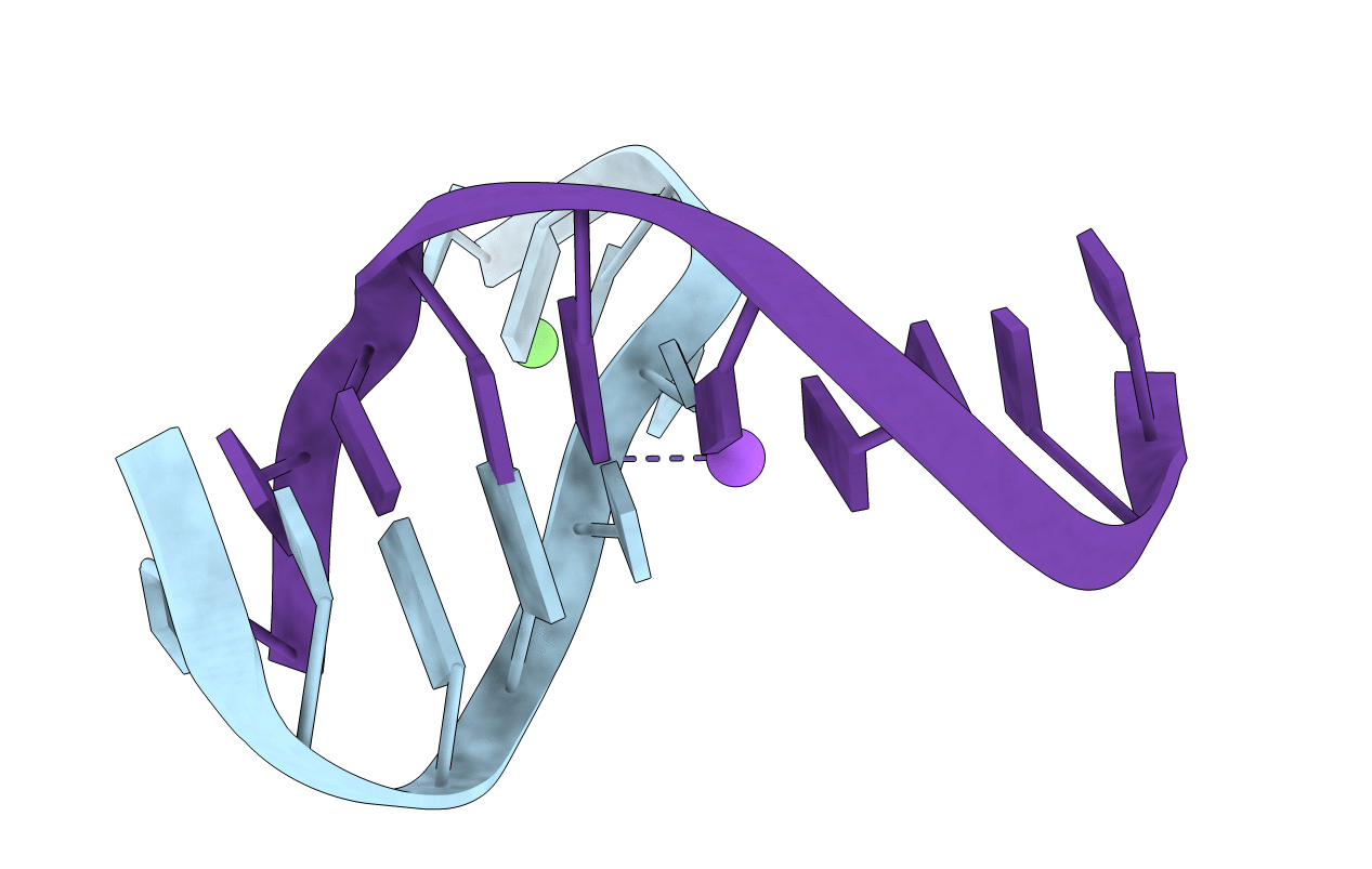 1P54 image