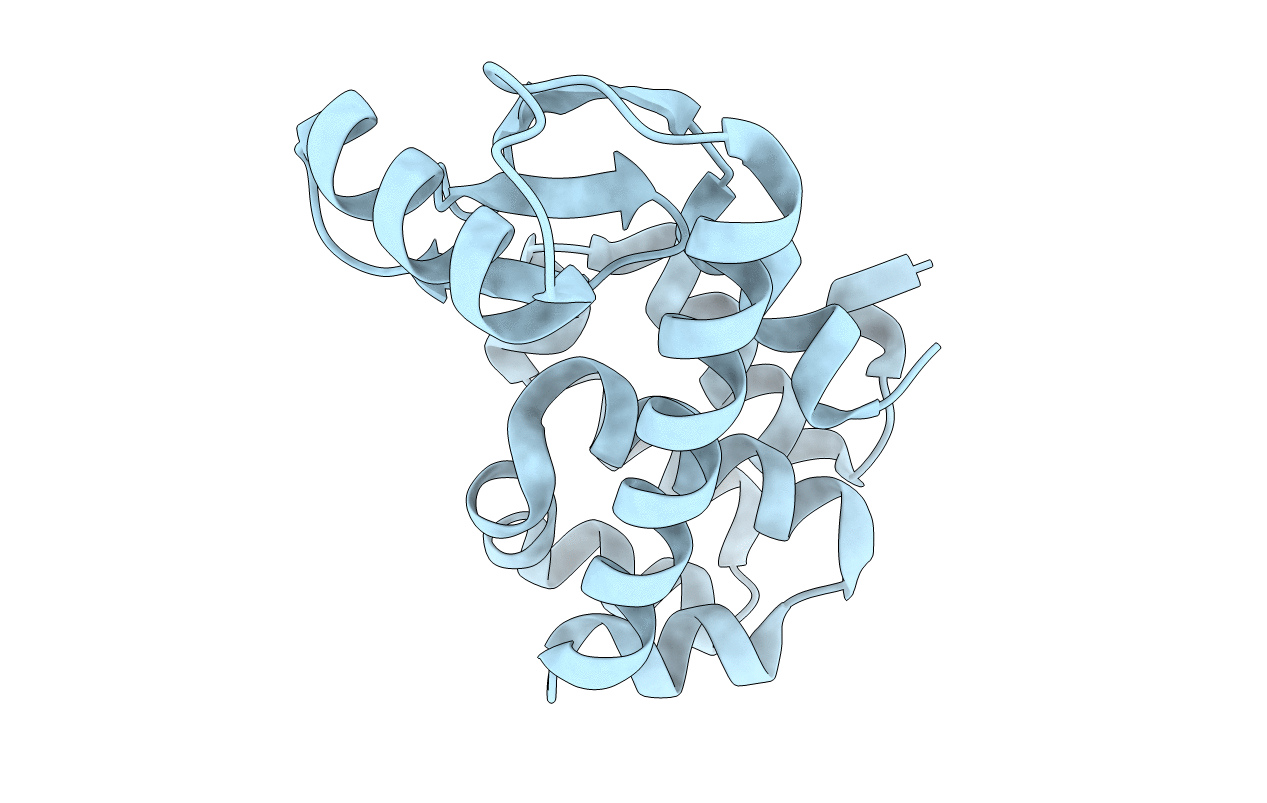 1P56 image