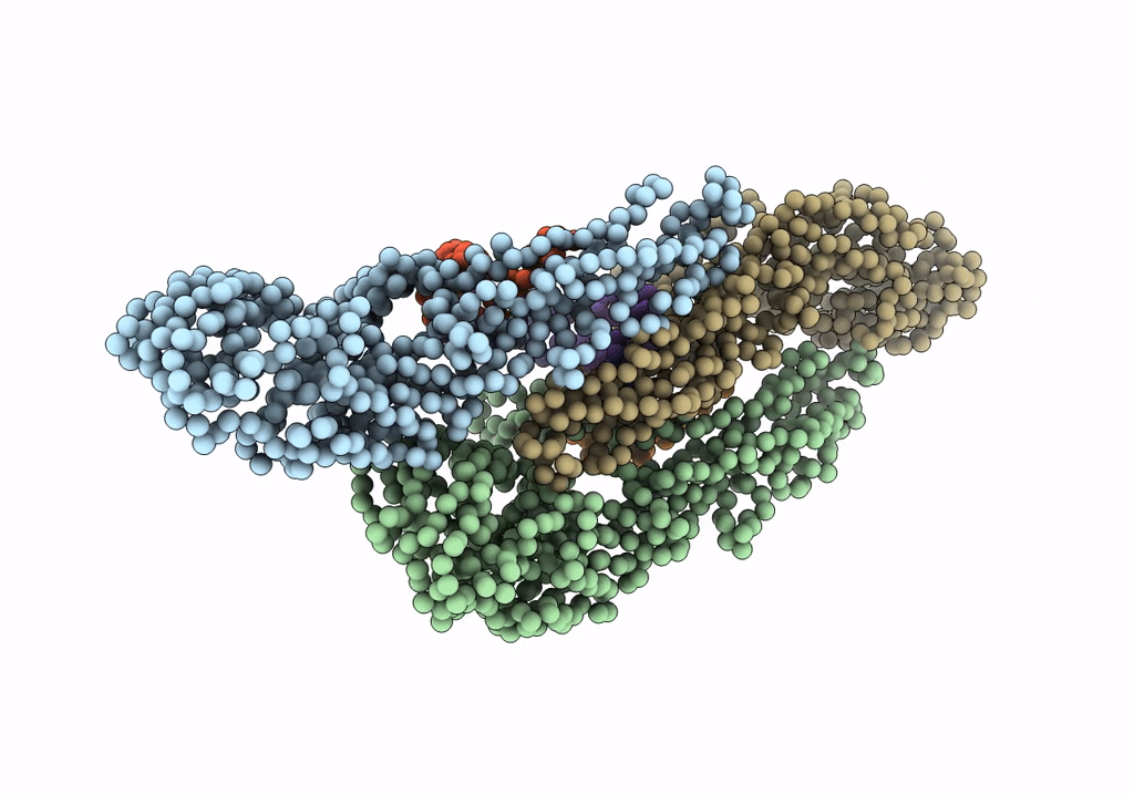 1P58 image