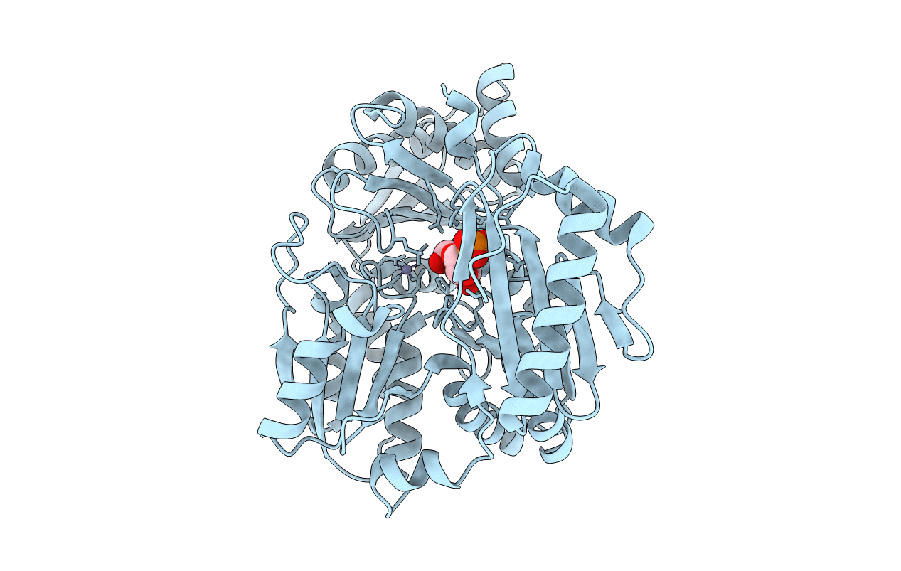 1P5D image