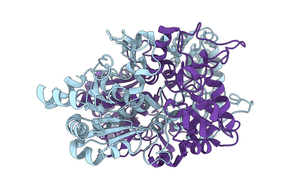 1P5H image