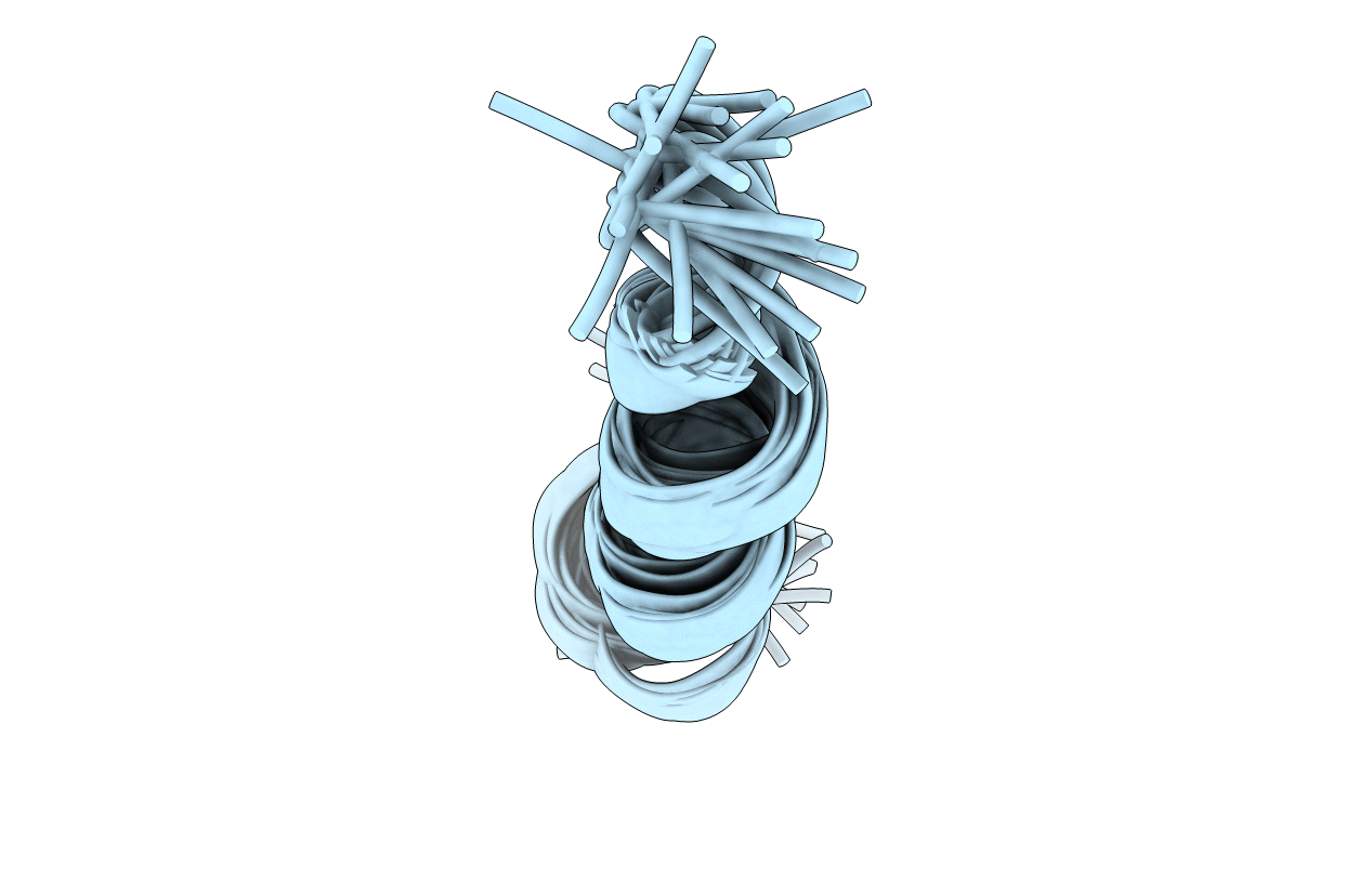 1P5L image