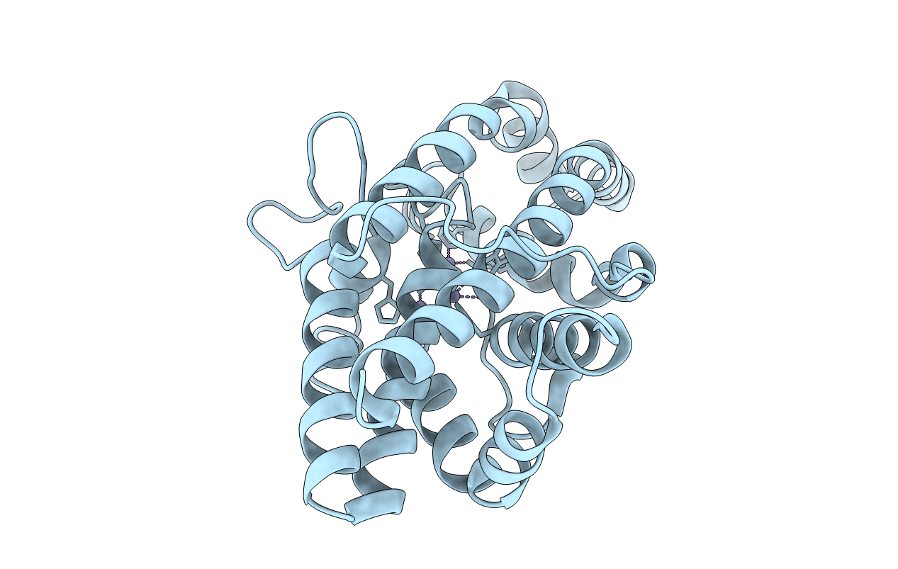 1P5X image