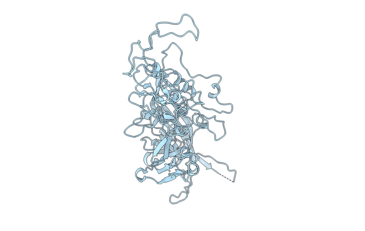 1P5Y image