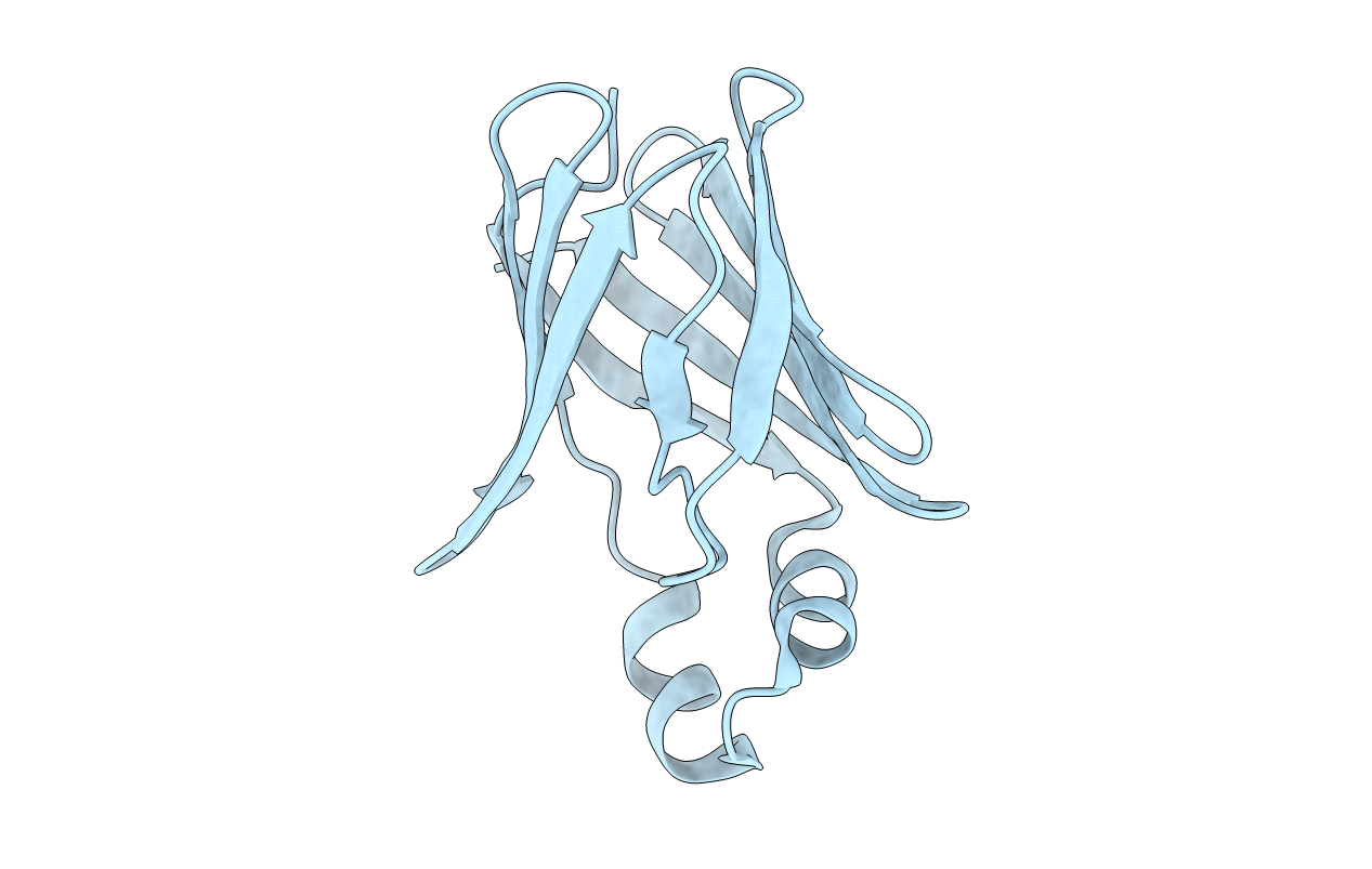1P6P image