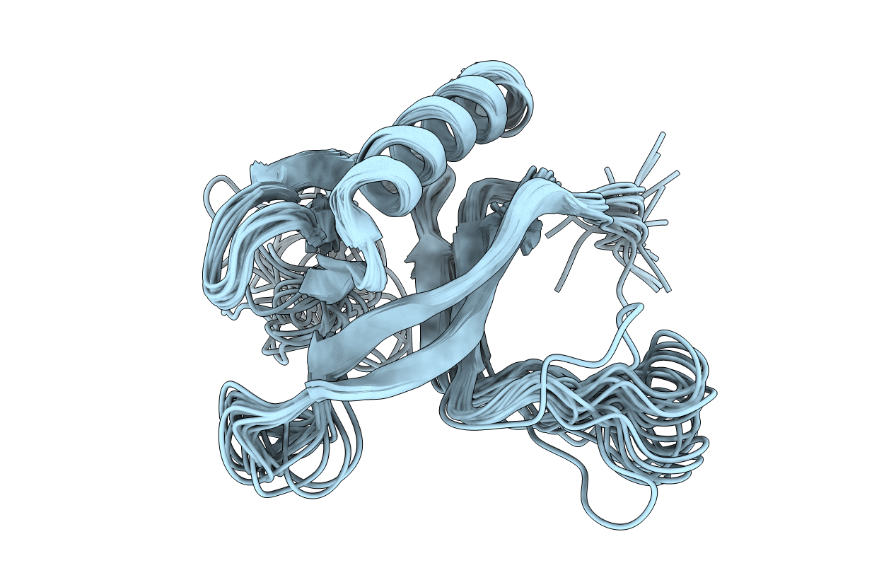 1P6S image