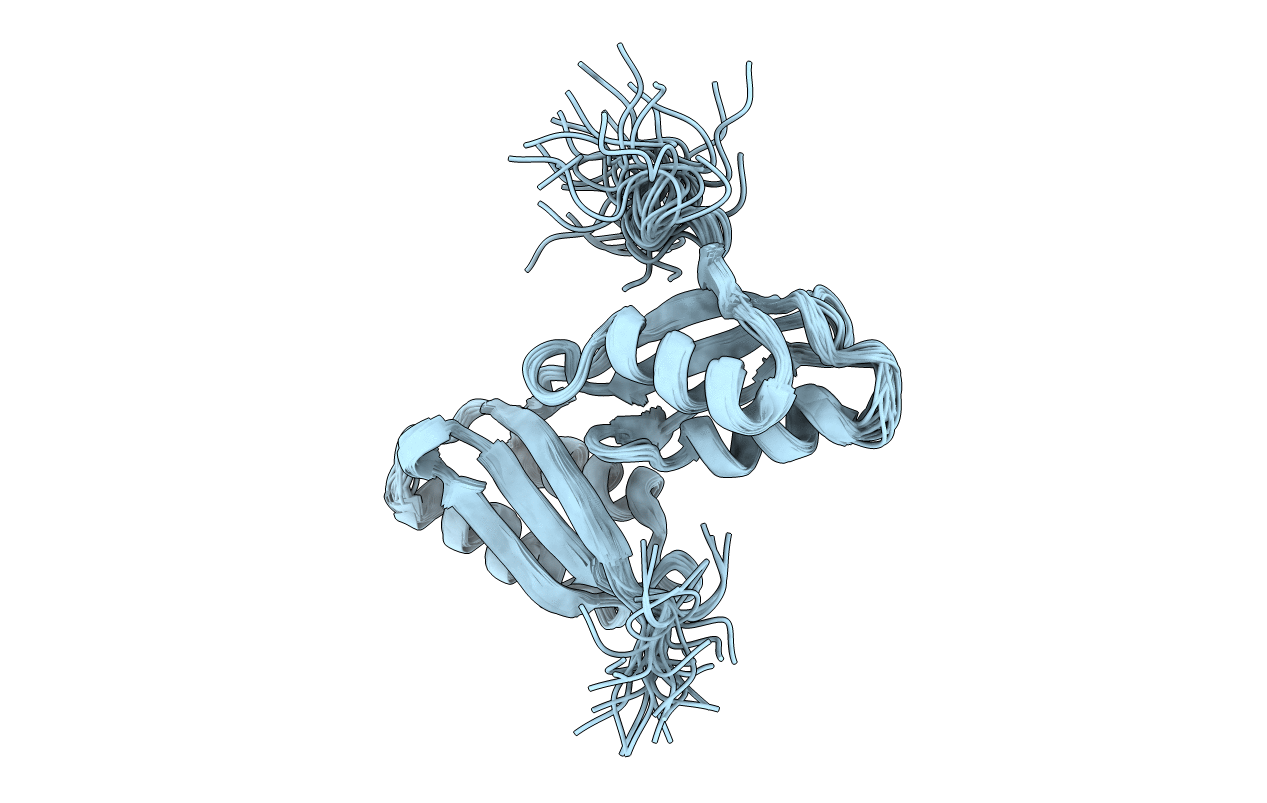 1P6T image
