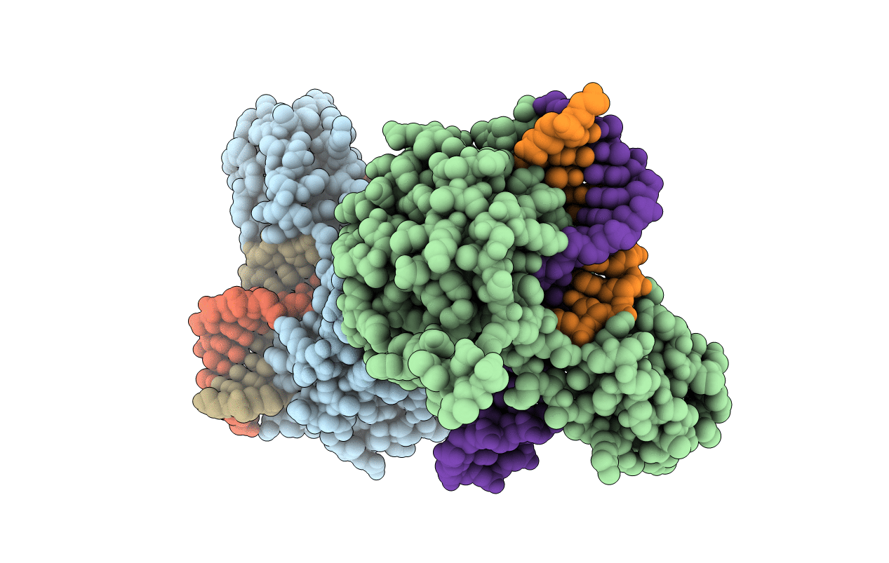 1P7D image
