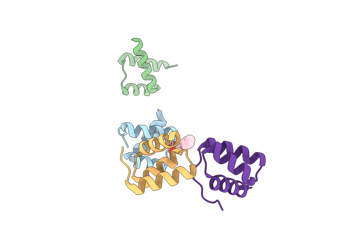 1P7I image