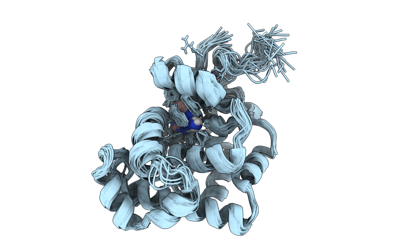 1P7M image