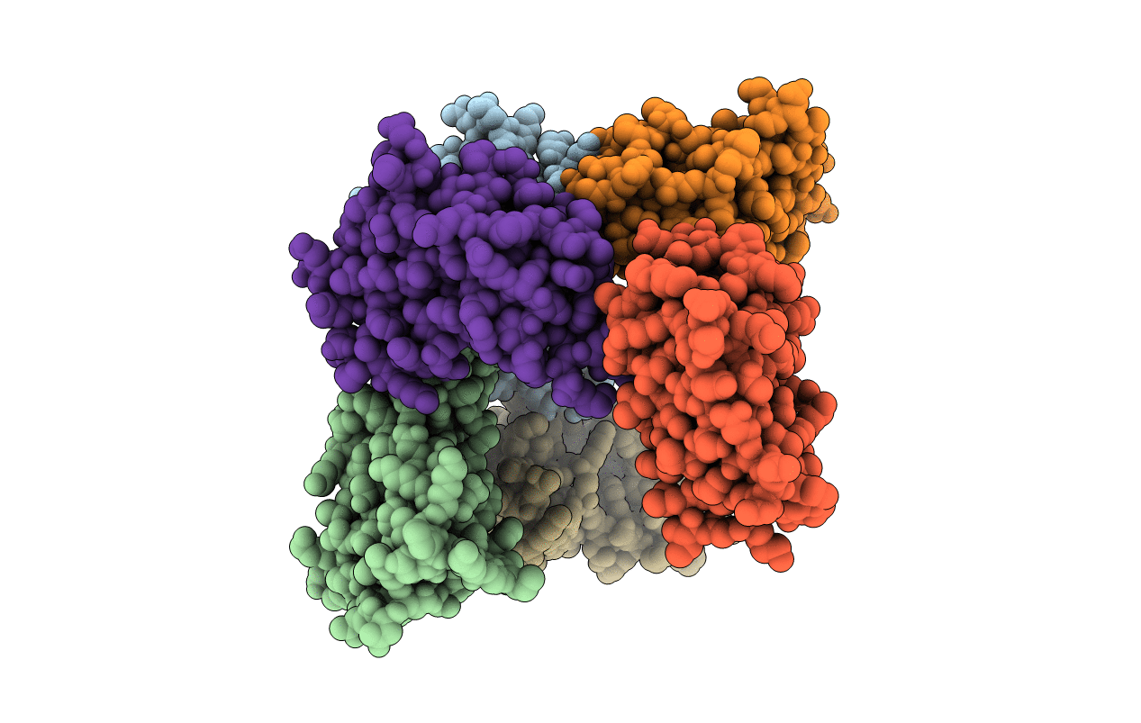 1P7O image