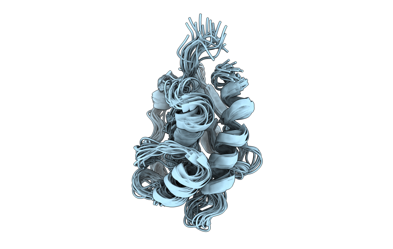 1P8A image