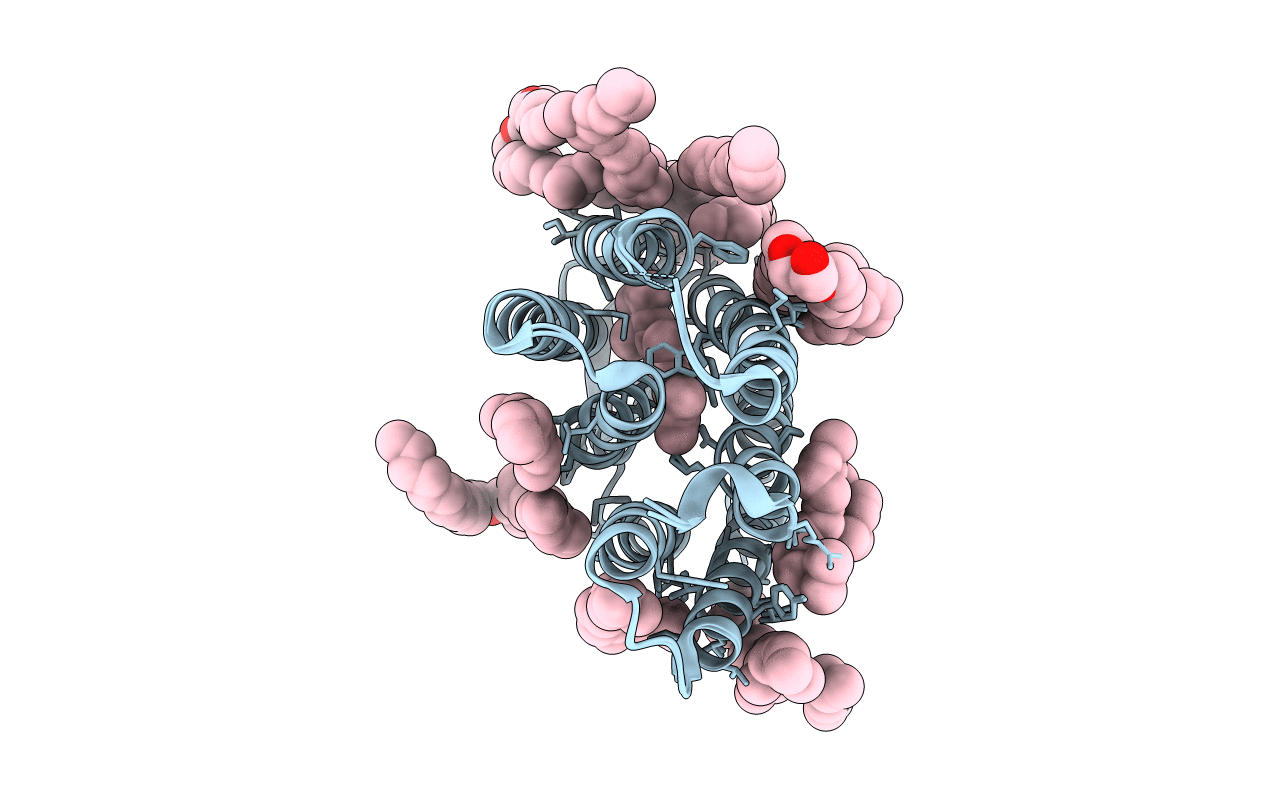 1P8H image