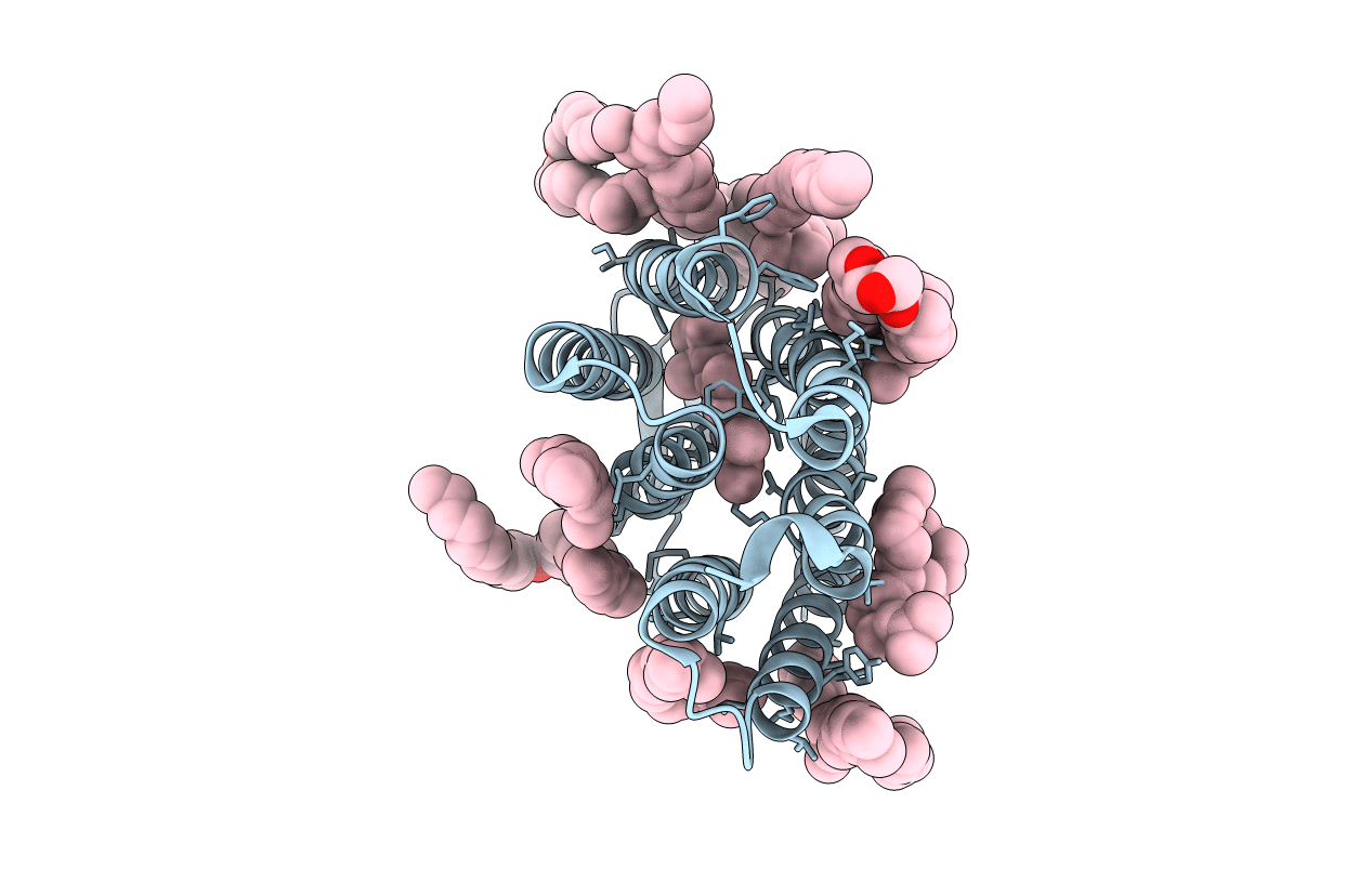 1P8I image