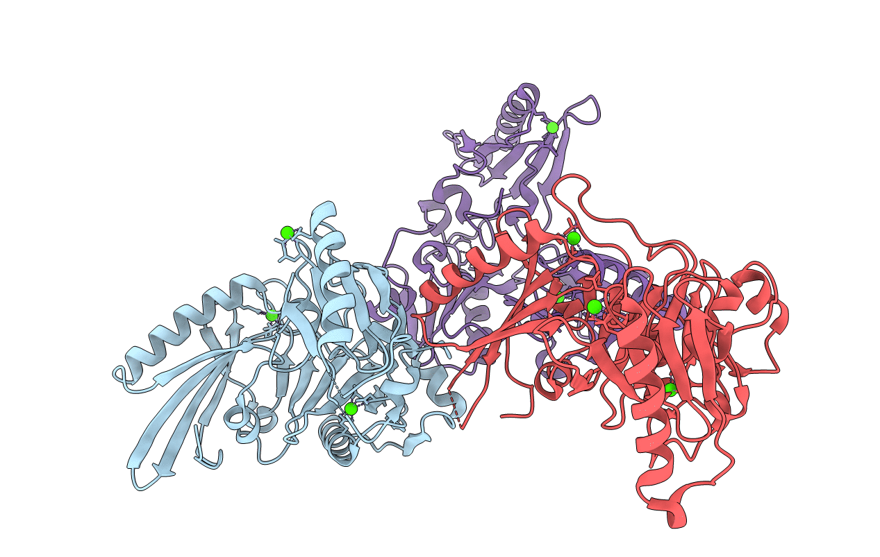 1P8X image