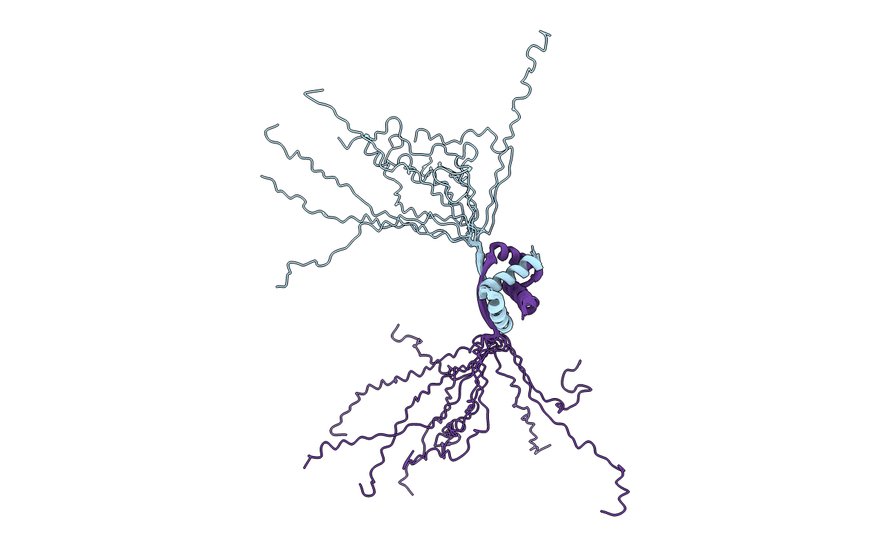 1P94 image