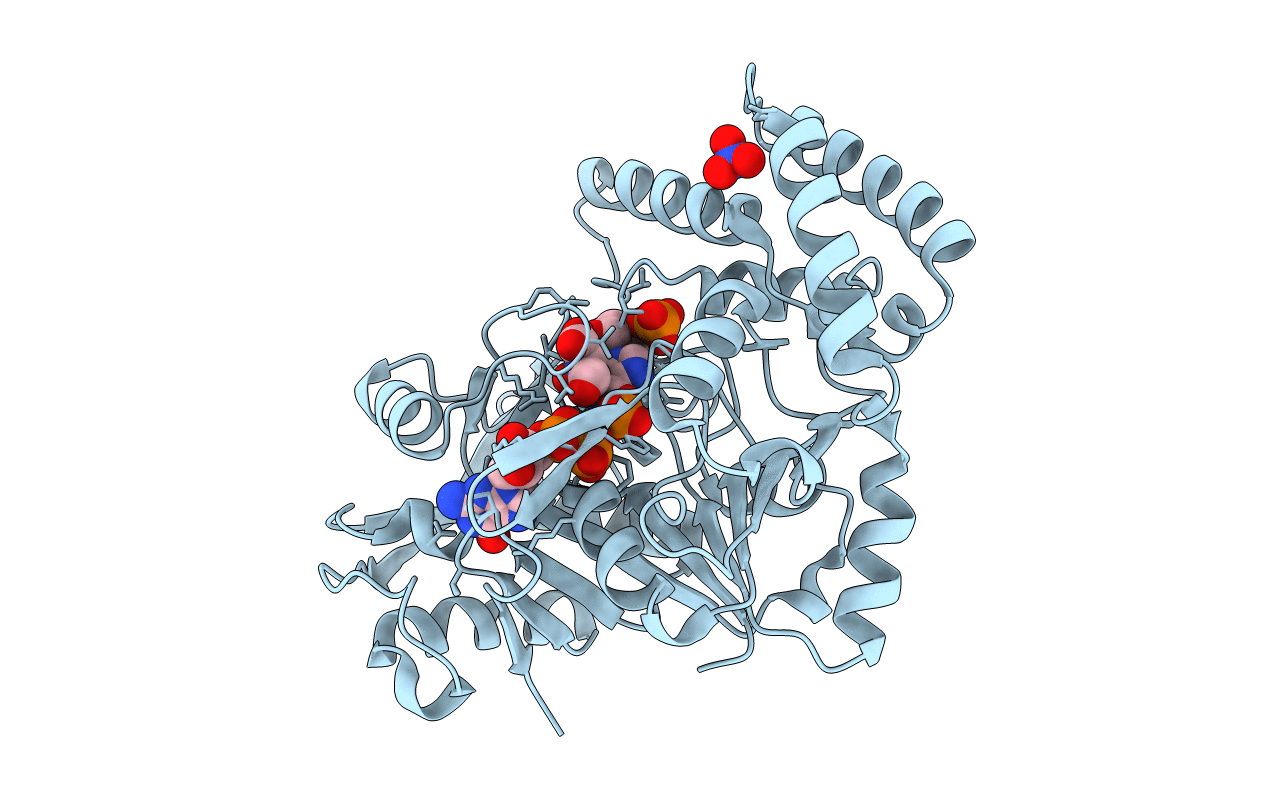 1P9B image