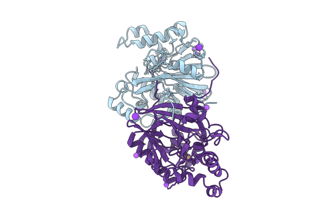 1P9E image