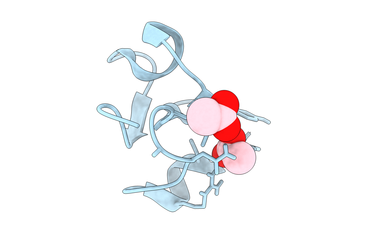 1P9G image