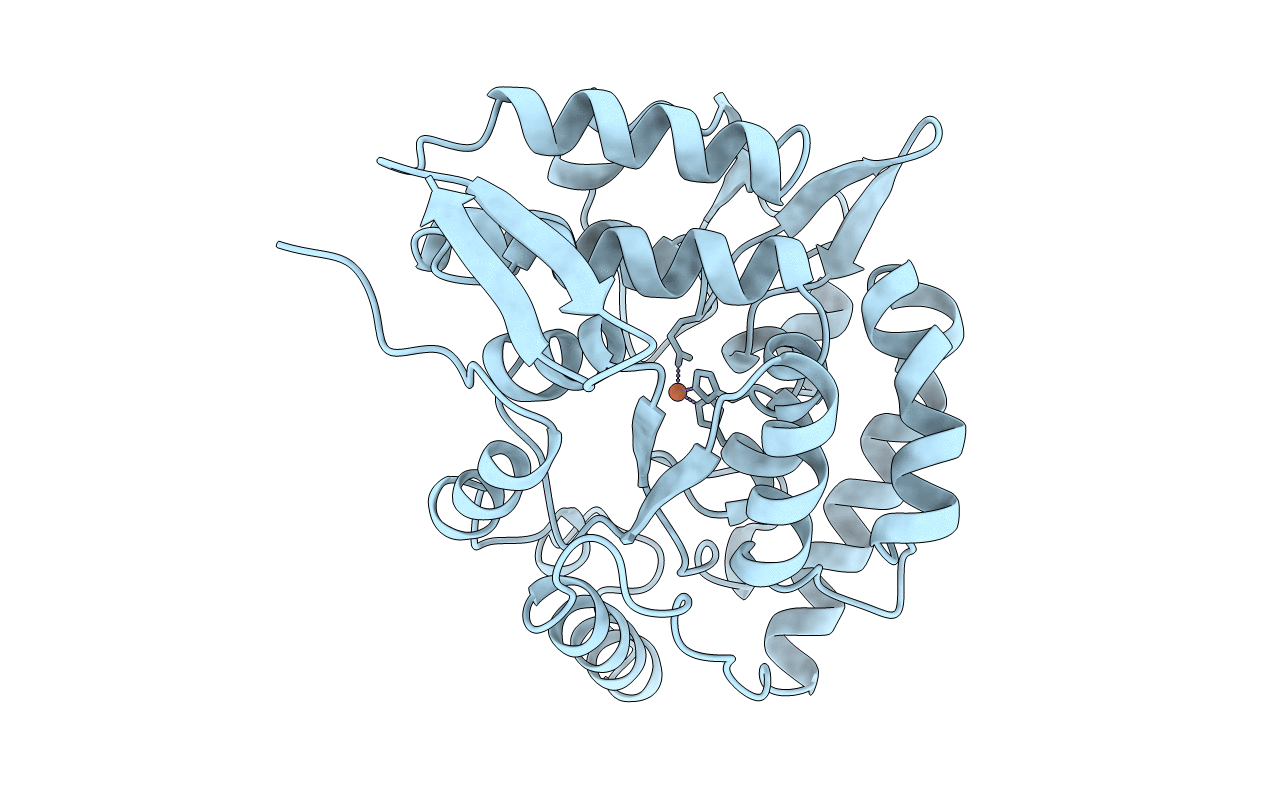 1PAH image