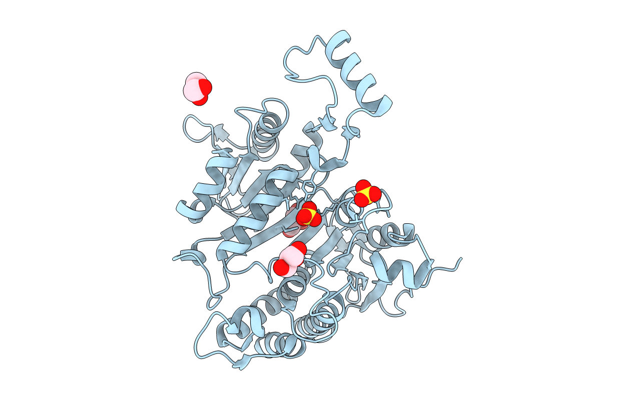 1PB3 image