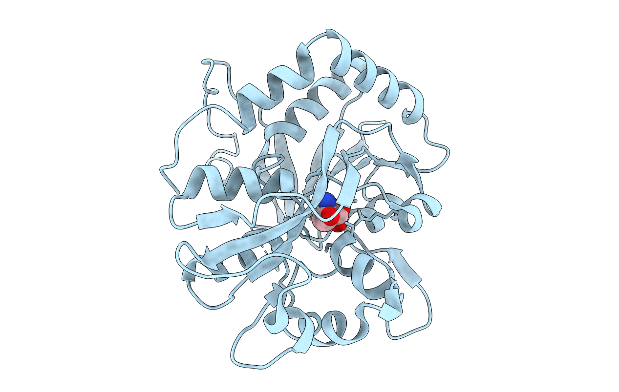 1PB8 image
