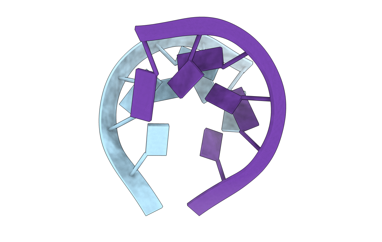 1PBM image