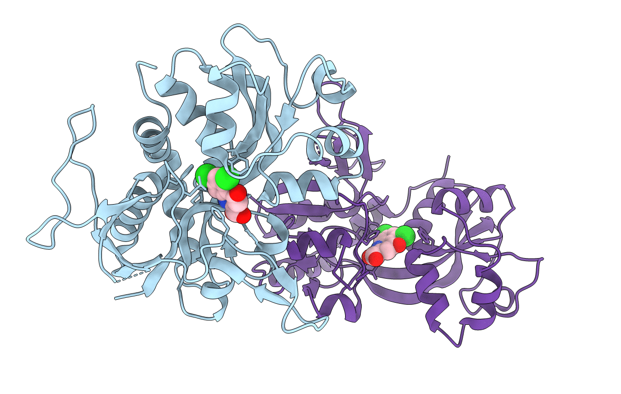 1PBQ image