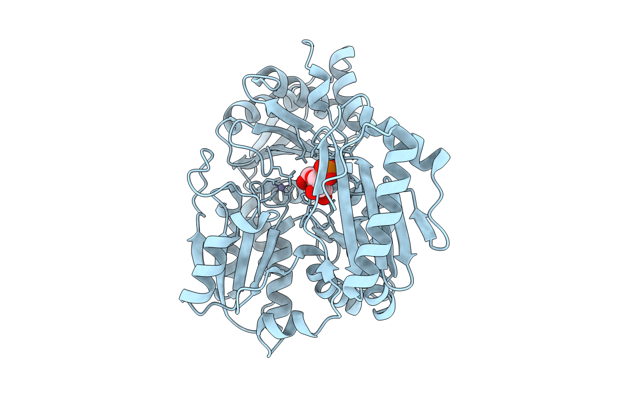 1PCJ image