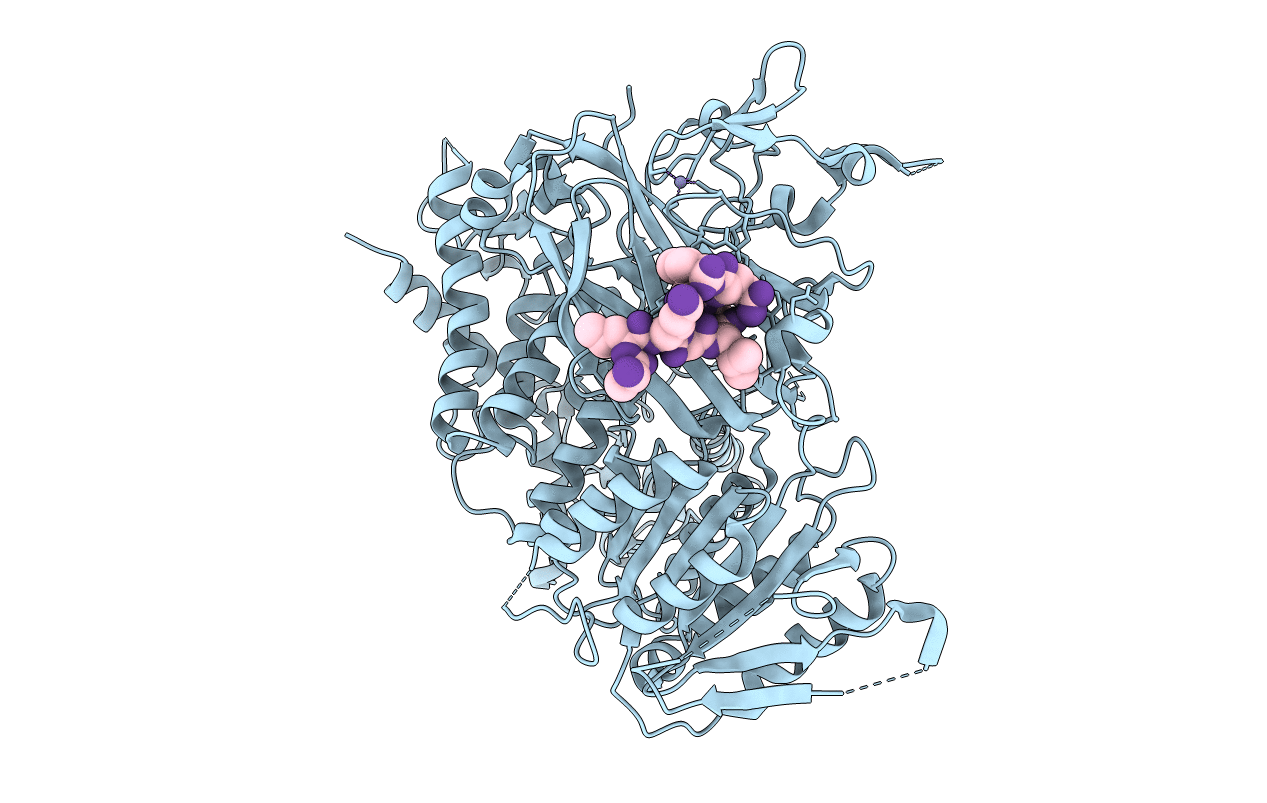 1PD1 image