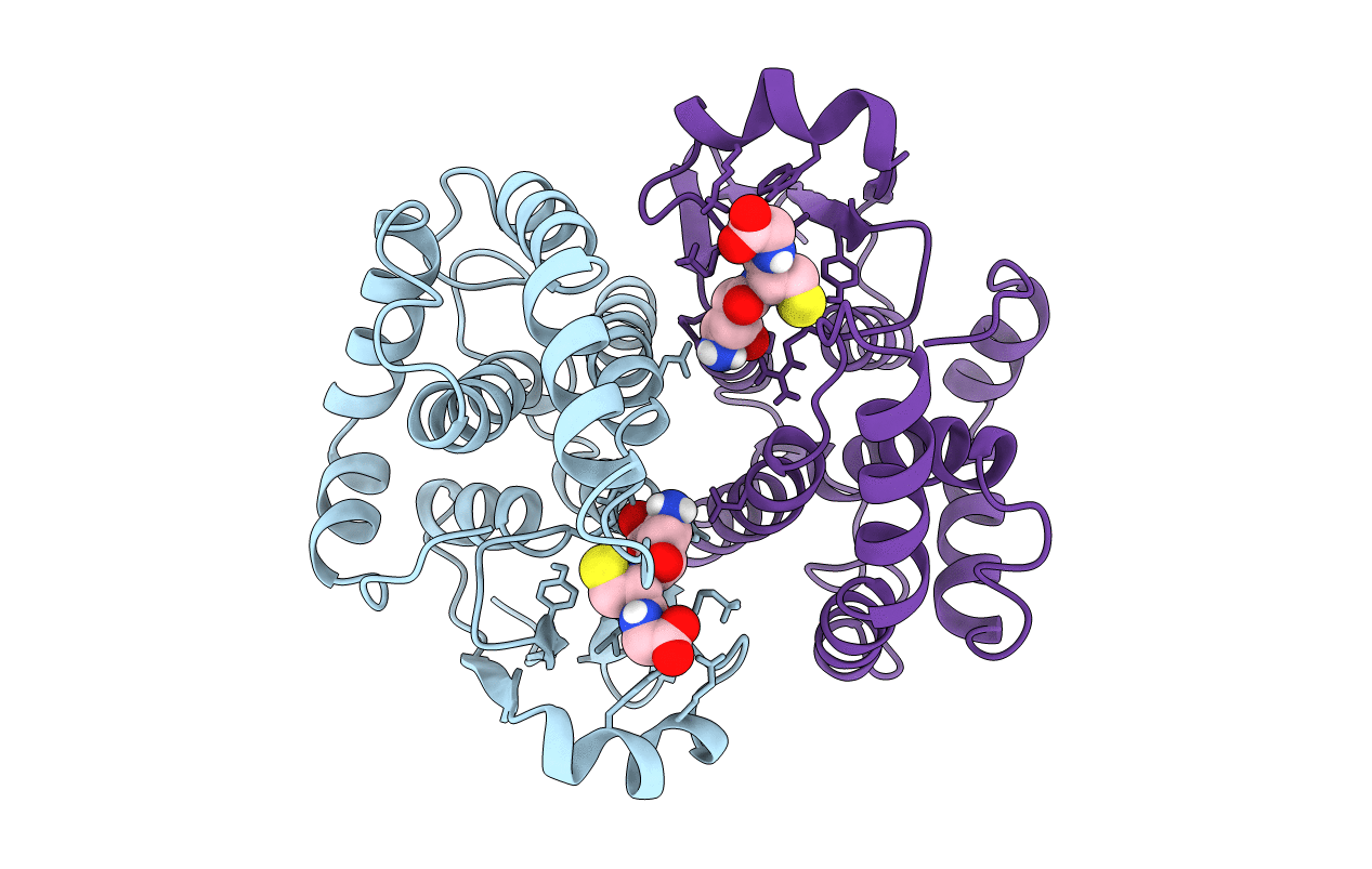 1PD2 image