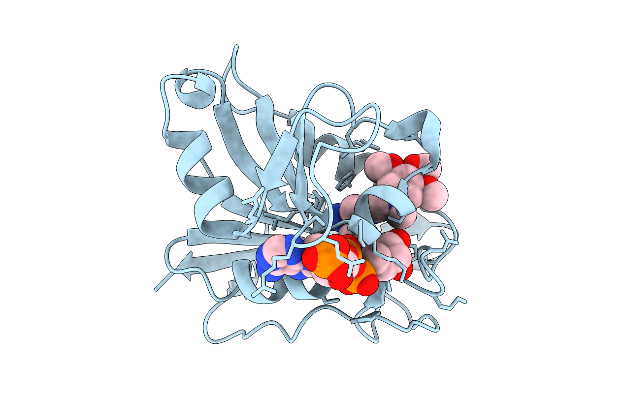 1PD8 image