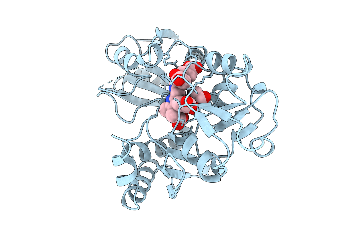 1PDA image