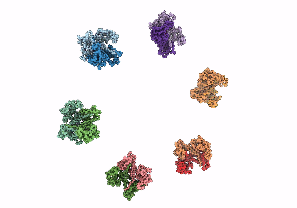 1PDM image