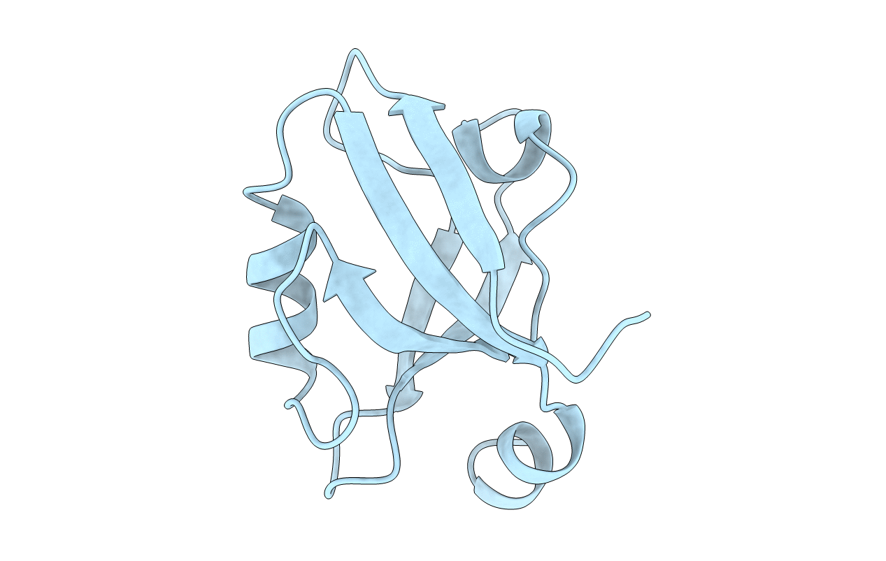 1PDR image