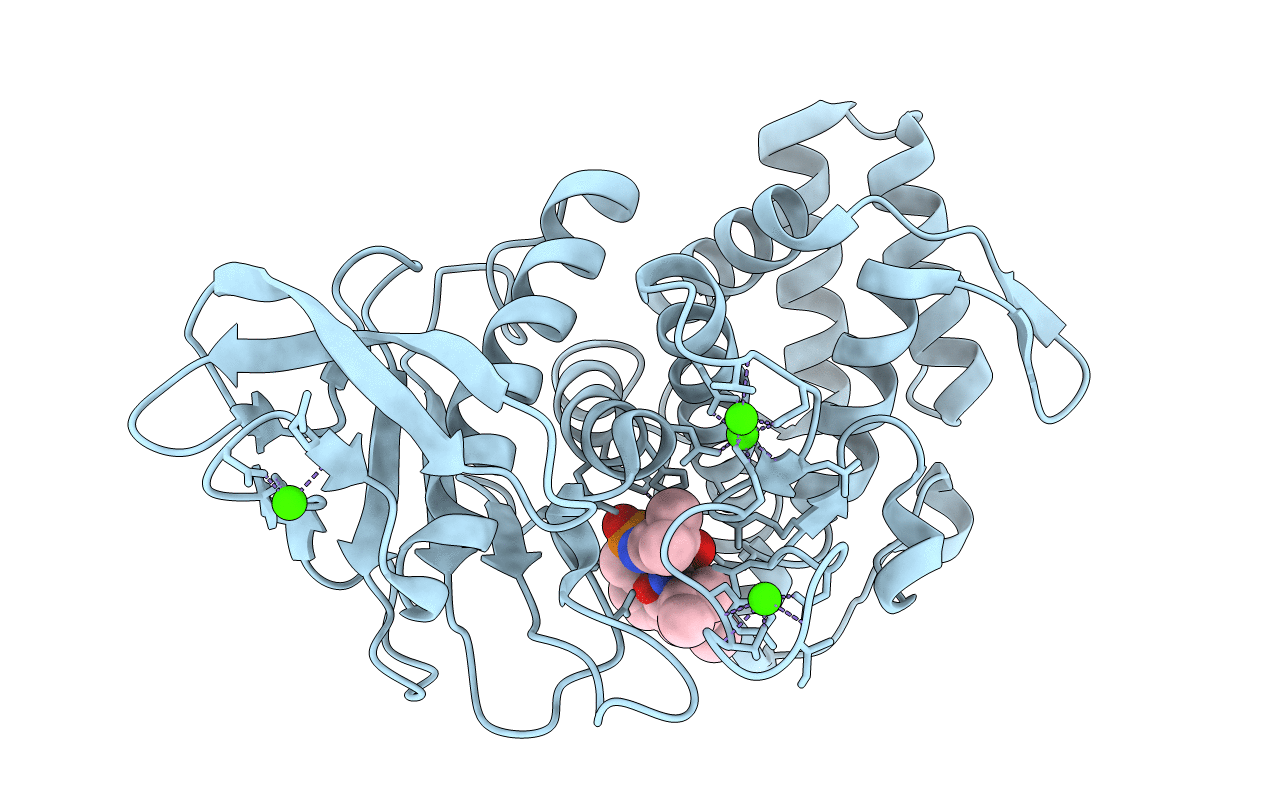 1PE5 image