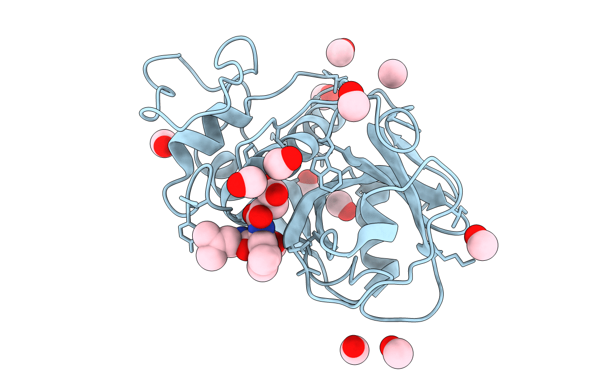 1PE6 image