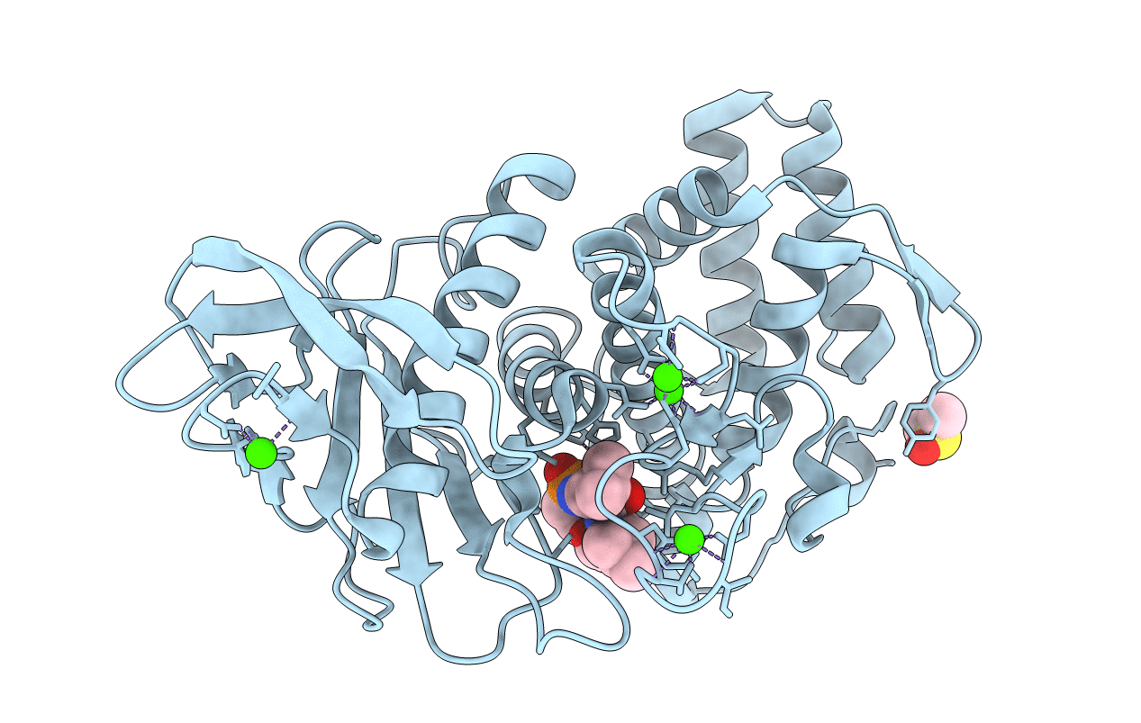 1PE8 image